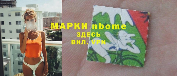 сатива Тайга