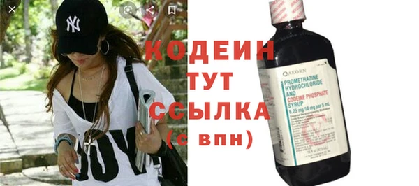 сатива Тайга