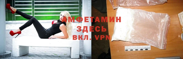 сатива Тайга