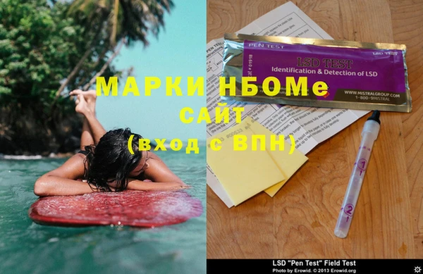 сатива Тайга