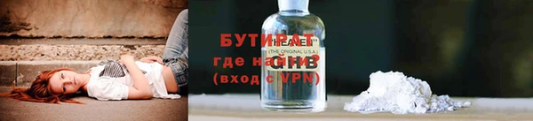 сатива Тайга