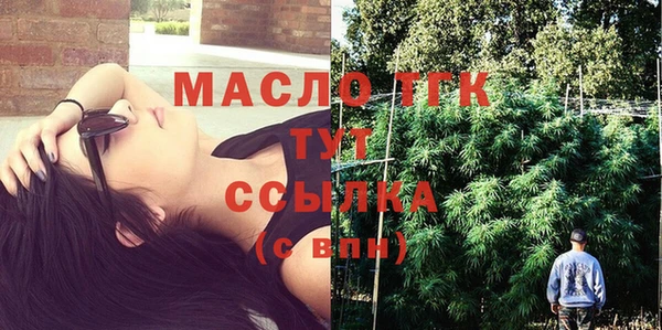 сатива Тайга