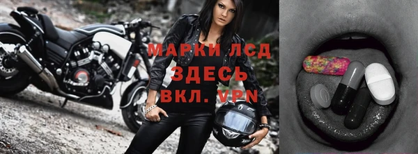 сатива Тайга