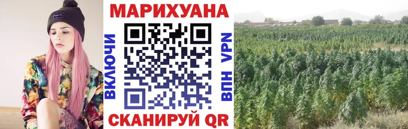 Шишки марихуана индика  Купить где  Исилькуль 